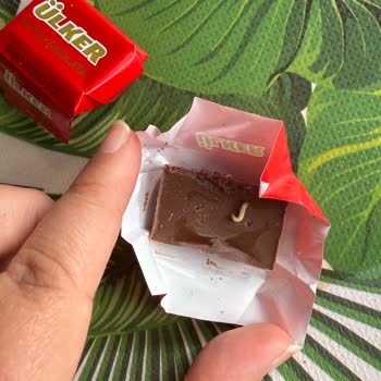 Ülker Sütlü Çikolatada Karşılaştığım Şok Edici Hijyen Sorunu