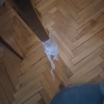 Taşınma Sırasında Eşyalarım Zarar Gördü Ve Firma İlgisiz Davrandı