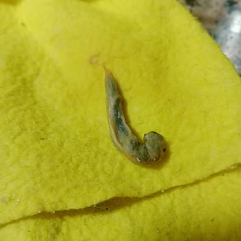 Fuse Tea Karpuz İçeceğinde Yabancı Madde Şoku: Çocuğumun Sağlığı Tehlikeye Girdi