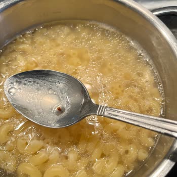 Knorr Mac & Cheese, encontré insectos en la pasta, solicito reembolso