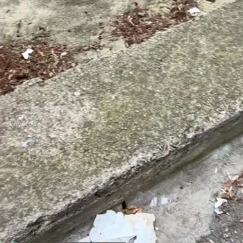 Medaş Her Yer Pis, Çöp Atık Mikrop!