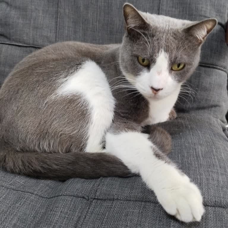 Mama Sepeti’nden Tarihi Geçmiş Mama Gönderildi Firma İle İletişim Kuramıyorum