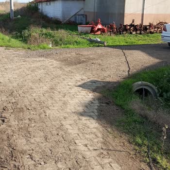 Devrilen Telefon Direkleri Yol Güvenliğini Tehdit Ediyor, Müdahale Bekleniyor