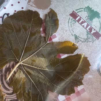 Sert Ve Kullanılamaz Salamura Yaprak İle İlgisiz Müşteri Hizmeti