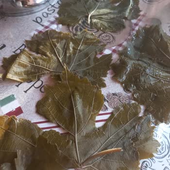 Sert Ve Kullanılamaz Salamura Yaprak İle İlgisiz Müşteri Hizmeti