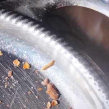 Tatlıbak Ümraniye Şubesinden Aldığım Ürünlerde Kurt Çıkması Ve İlgisizlik