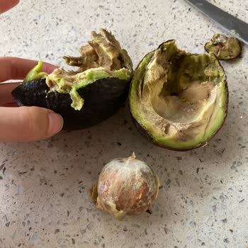 Carrefour SA Siparişimde Bozuk Avokado Ve Canlı Desteğe Ulaşamama Sorunu