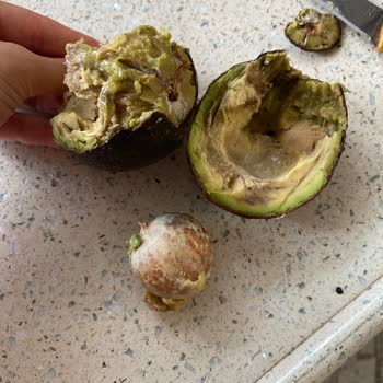 Carrefour SA Siparişimde Bozuk Avokado Ve Canlı Desteğe Ulaşamama Sorunu