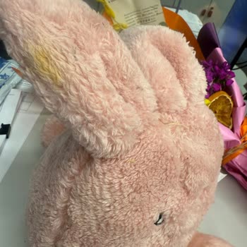 Sipariş Edilen Çiçek Ve Ek Ürün Beklentileri Karşılamadı, Müşteri Hizmetleri Çözüm Sunmadı