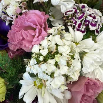 Ayıplı Ve Solmuş Çiçekler: İki Kez Kötü Teslimat, Para İadesi Talebi