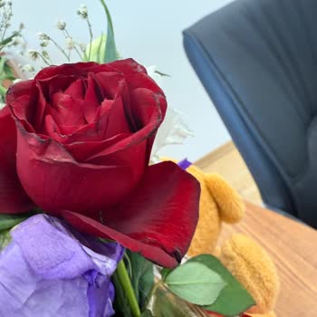 Ayıplı Ve Solmuş Çiçekler: İki Kez Kötü Teslimat, Para İadesi Talebi