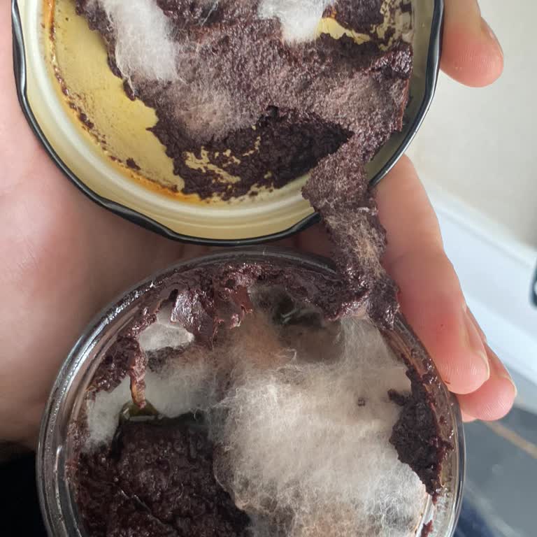 MarmaraBirlik Zeytinde Küf Sorunu