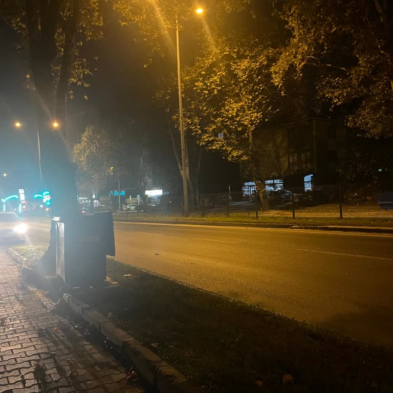 Güvenlik Ve Konfor Hiçe Sayıldı, Yol Kenarında Bırakıldım!