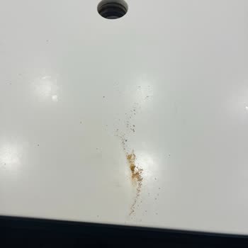 Popeyes Şubesinde Temizlik Sorunu Ve Hijyen Eksikliği