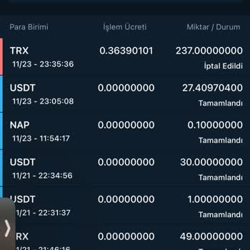 Bitexen Global Bitexen Transferinde Yaşanan Gecikme ve İade Sorunu