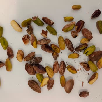 Bayat Ve Çürük Antep Fıstığı, İlgisiz Müşteri Hizmeti