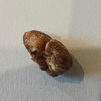 Bayat Ve Çürük Antep Fıstığı, İlgisiz Müşteri Hizmeti