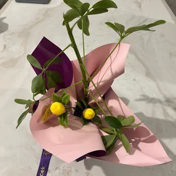 Görselden Farklı Çiçek Gönderimi Öğretmenler Günü Sürprizini Hayal Kırıklığına Uğrattı