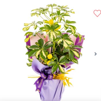 Görselden Farklı Çiçek Gönderimi Öğretmenler Günü Sürprizini Hayal Kırıklığına Uğrattı