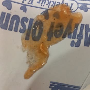 Yemeklerde Hijyen Ve Lezzet Sorunları Artıyor