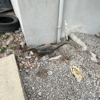 Apartmanımızda Kopan Ana Hat Nedeniyle Uzun Süreli İnternet Kesintisi