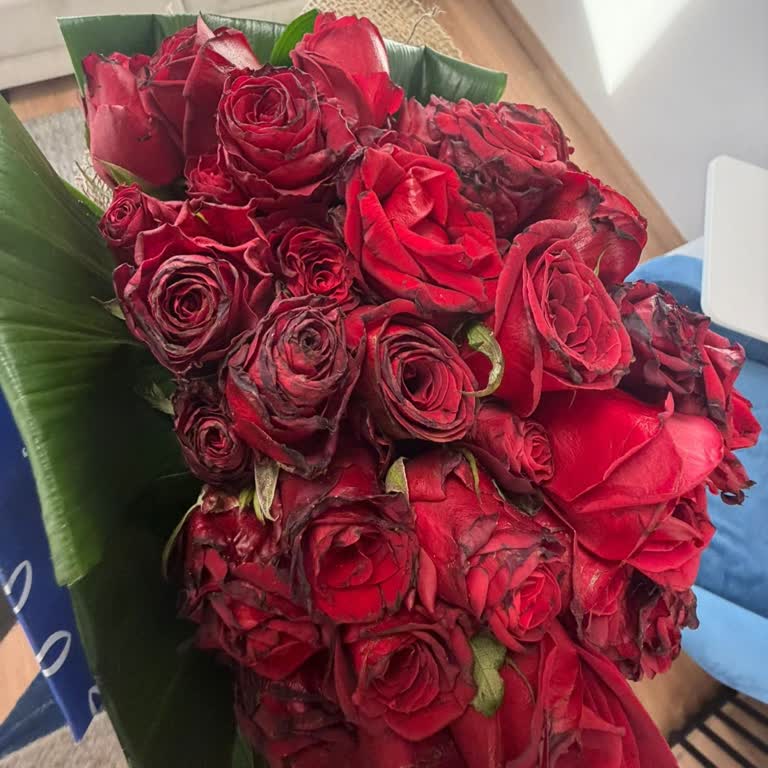 Geç Teslimat, Kurumuş Ürün Ve Yetersiz Müşteri Hizmetleri Nedeniyle Mağduriyet