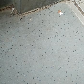 Kocaeli Özel Halk Otobüslerinde Temizlik Ve Bakım Sorunu