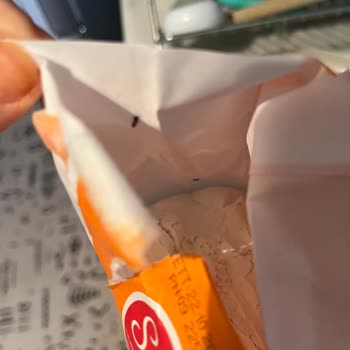 Kapalı Un Paketinden Böcek Çıkması Hijyen Endişesi Yarattı