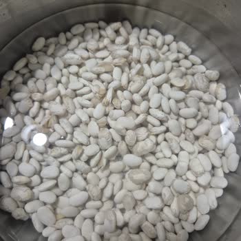 Tat Dermason Fasulyesi Beklentimi Karşılamadı: Çatlama Ve Dağılma Sorunu