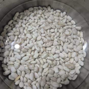 Tat Dermason Fasulyesi Beklentimi Karşılamadı: Çatlama Ve Dağılma Sorunu