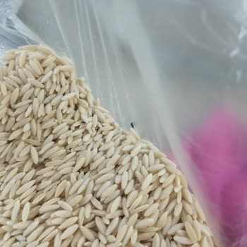 Filiz Marka Ürünlerde Tekrarlayan Böcek Sorunu Ve Güven Kaybı