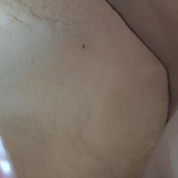 Bebek Mamasında Böcek Çıkması Ve Mağaza Hijyeninden Kaynaklı Mağduriyet