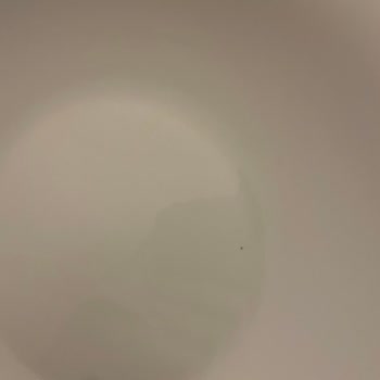 Schafer'dan Aldığım Çeyiz Paketi Hasarlı Geldi, Mağaza İlgisiz Kaldı