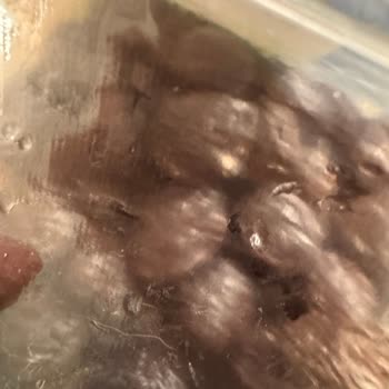 A101'de Satışa Sunulan Zeytinlerde Beyaz Leke Ve Hijyen Sorunu