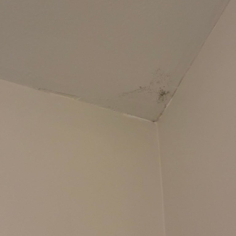 Teras Kaynaklı Su Sızıntısı Ve Küf Sorunu Çözülmüyor