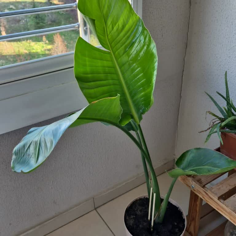 Onaysız Ürün Değişikliği Ve Geç Teslimat Mağduriyeti Yaşadım