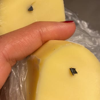 Alibey Süt Ürünleri Kalitesizliği