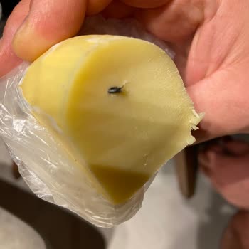 Alibey Süt Ürünleri Kalitesizliği