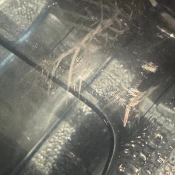 Pınar Damacanaların Eski Ve Yıpranmış Gönderilmesi Mağduriyet Yaratıyor