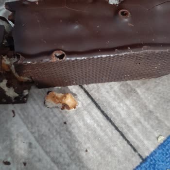 Eti Karam Gurme Çikolatada Kurt Şüphesi Ve Sağlık Sorunu