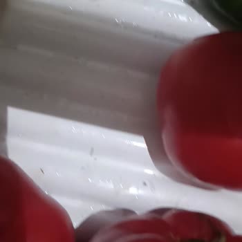 Profilo Buzdolabında Sebzelikte Aşırı Su Birikmesi Ve Hızlı Bozulma Sorunu