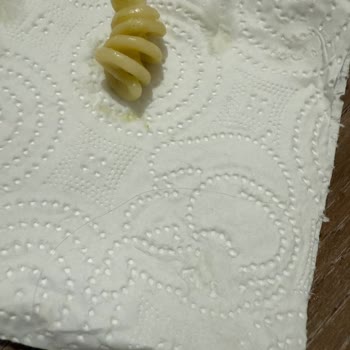 Pastavilla Makarnanın İçinden Kıl Çıktı!