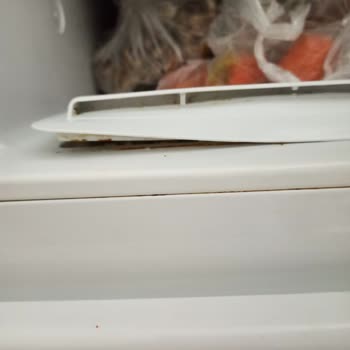 Garanti Dışı Buzdolabı Kaplama Şişmesi İçin Yüksek Onarım Ücreti