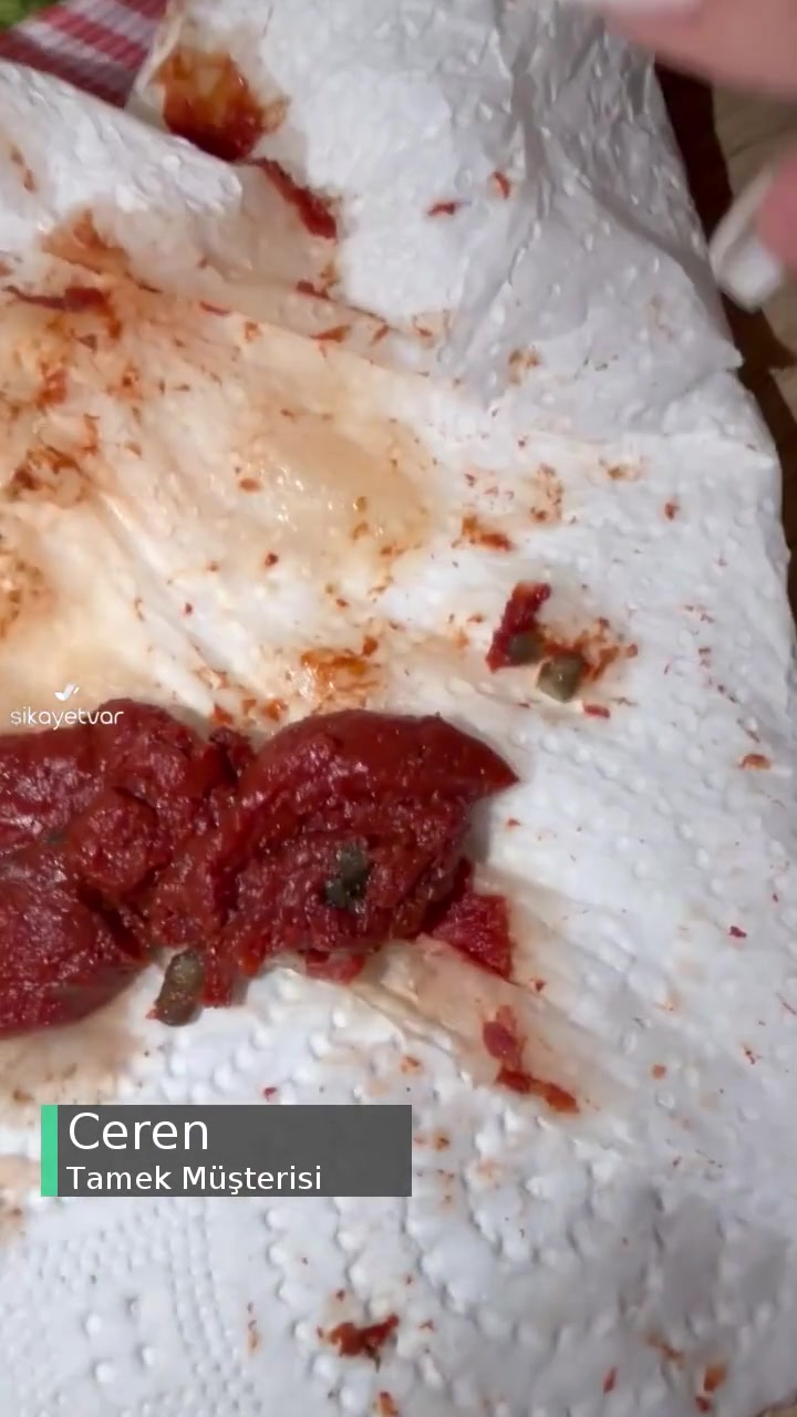 Tamek Salça İçinde Böcekler videonun kapak resmi