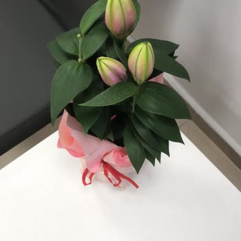 Yanlış Çiçek Gönderimi Ve Yetersiz Müşteri Hizmeti Nedeniyle Mağduriyet