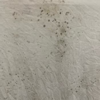 Arçelik Çamaşır Ve Bulaşık Makinesinde Süreklilik Gösteren Arızalar Ve Yetersiz Servis Desteği