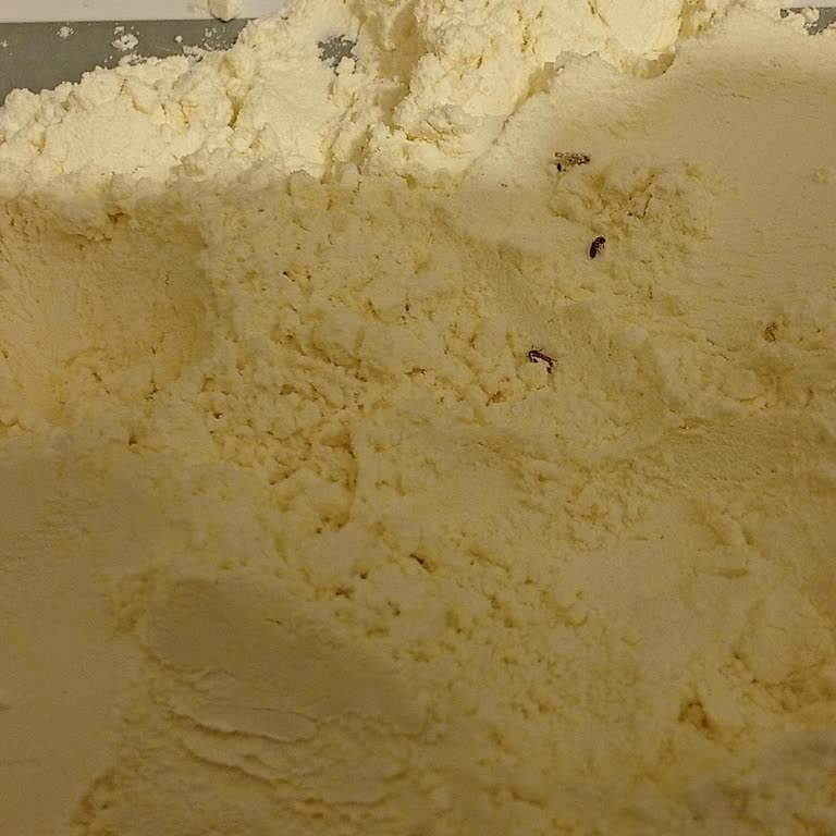 Bozuk Un Ve Ulaşılmayan Müşteri Hizmetleri Mağduriyeti