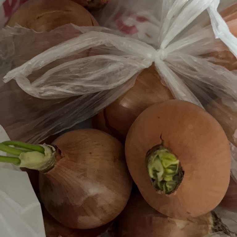 Carrefour SA Sanal Marketten Sürekli Bozuk Patates Ve Soğan Gönderilmesi