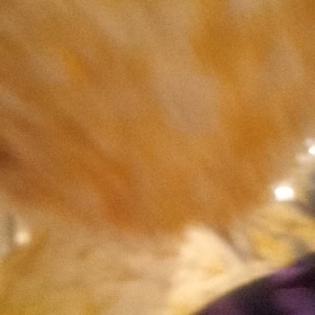 Eti Gong Sade Üründe Tekrarlayan Böcek Sorunu Hijyen Endişesi