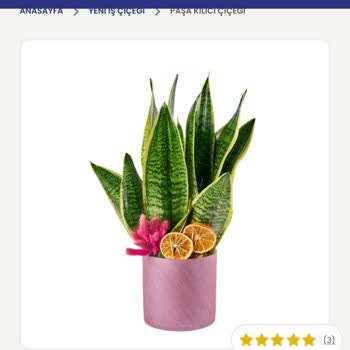 Sipariş Edilen Çiçek Görselden Farklı Ve Hayal Kırıklığı Yarattı